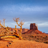 Wilderness Experiences