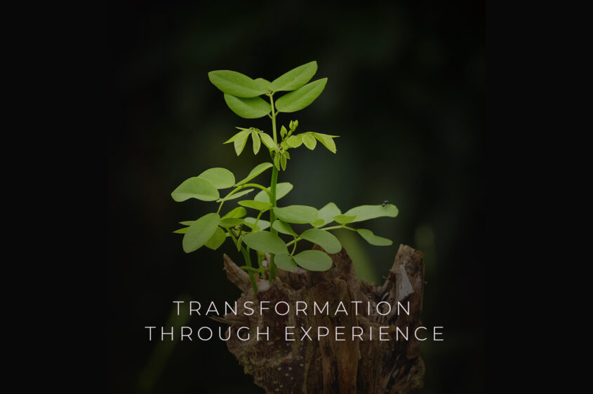 Transformation Through Experience